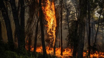 IA Antecipando Incêndios Florestais: CROWNFIRE-AI