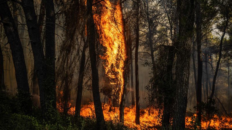 IA Antecipando Incêndios Florestais: CROWNFIRE-AI
