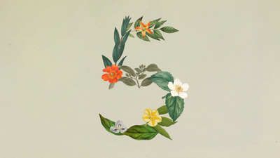 Claude Sonnet 5: A Nova Era da IA Agentic
