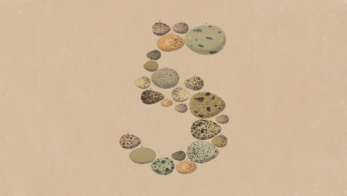 Anthropic lança Opus 5: Nova Geração de IA Avançada