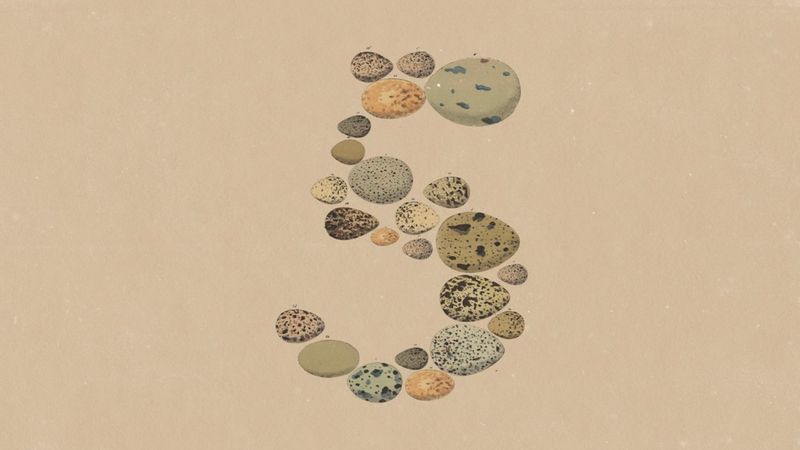 Anthropic lança Opus 5: Nova Geração de IA Avançada